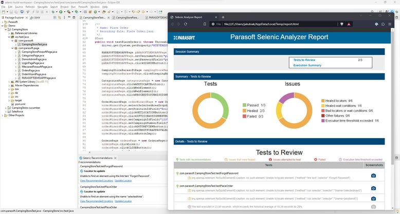 Screen of Parasoft Selenic Analyzer Report